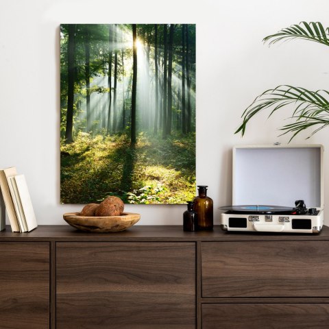 Plakat Zielony Las W Słoneczny Poranek