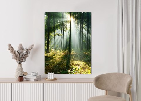 Plakat Zielony Las W Słoneczny Poranek