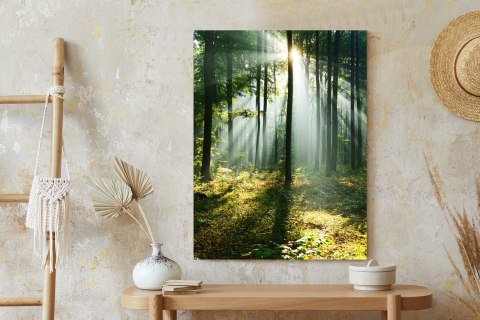 Plakat Zielony Las W Słoneczny Poranek