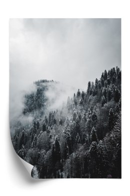 Plakat Zimowy Krajobraz Lasu We Mgle