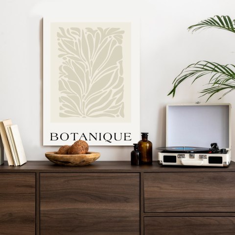 Plakat Botaniczna Kompozycja Z Liści Retro