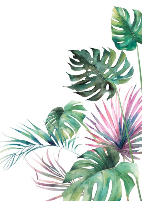 Plakat Botaniczny Wzór Akwarelowe Liście Monstery I Palmy