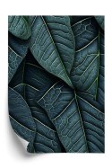 Plakat Ciemnozielone Liście Tropikalne 3D