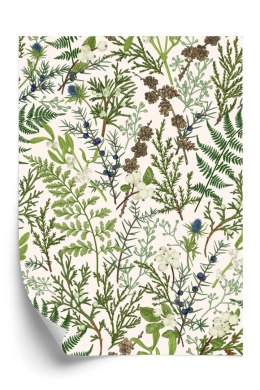 Plakat Dzikie Rośliny Na Beżowym Tle