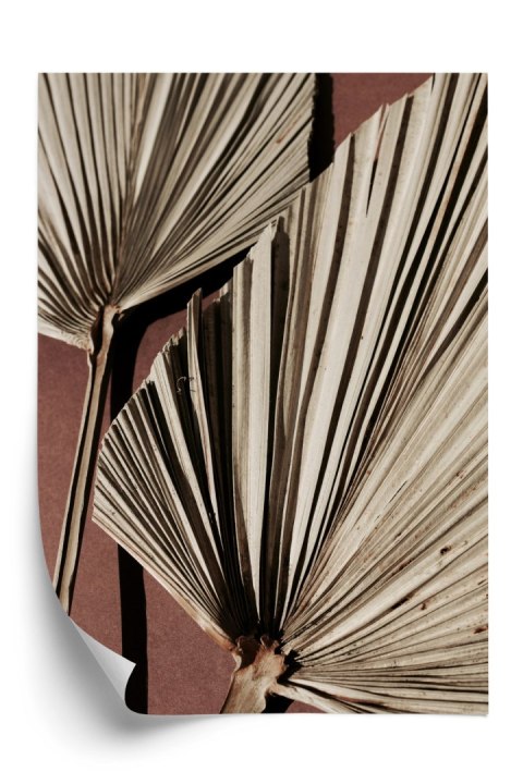 Plakat Egzotyczne Liście Palmowe Z Bliska