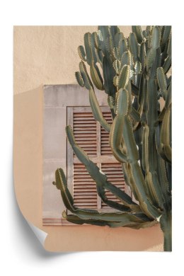 Plakat Egzotyczny Kaktus Na Pomarańczowym Tle