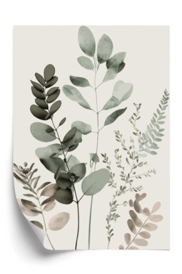 Plakat Gałązki Roślin Malowane Akwarelą Eukaliptus