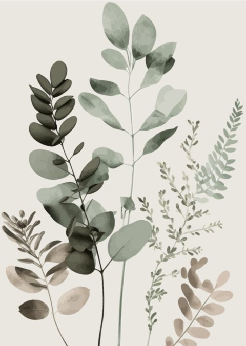 Plakat Gałązki Roślin Malowane Akwarelą Eukaliptus