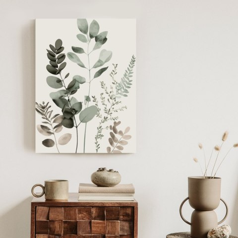 Plakat Gałązki Roślin Malowane Akwarelą Eukaliptus