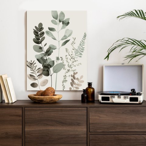 Plakat Gałązki Roślin Malowane Akwarelą Eukaliptus