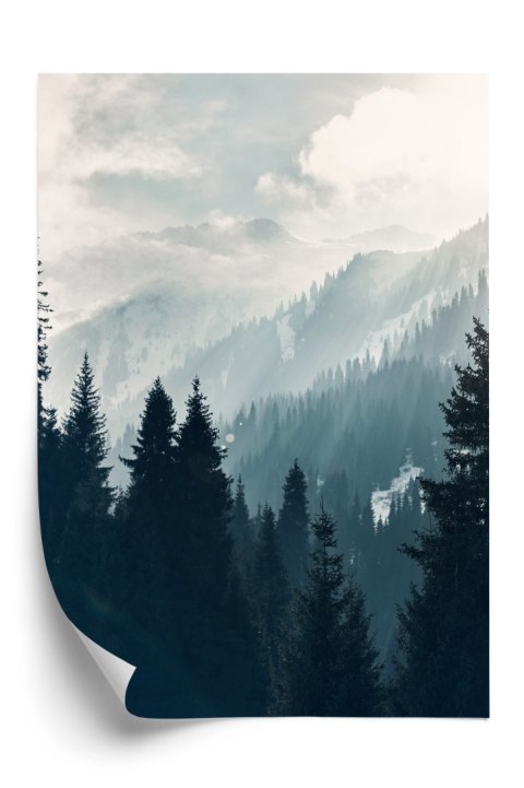 Plakat Górski Las W Porannej Gęstej Mgle