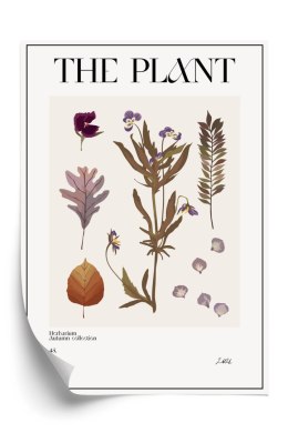 Plakat Jesienne Rośliny W Zielniku