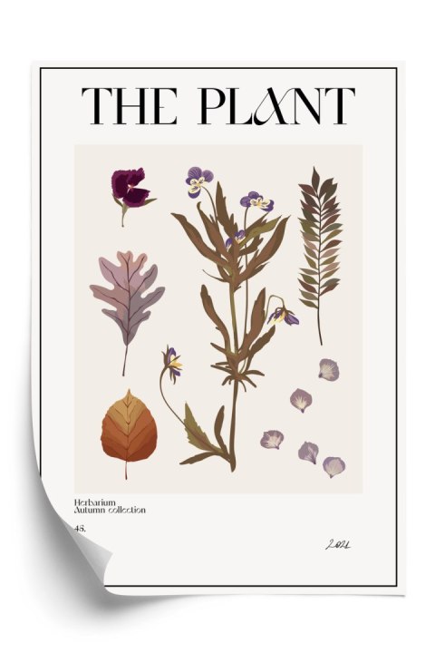 Plakat Jesienne Rośliny W Zielniku