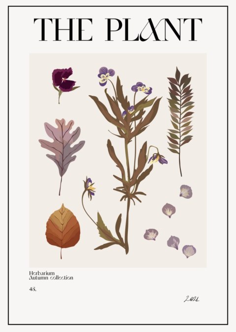 Plakat Jesienne Rośliny W Zielniku