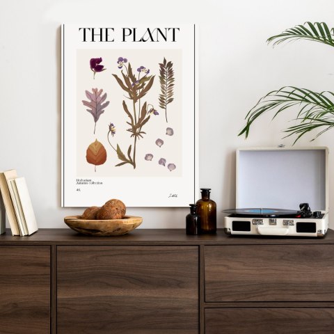 Plakat Jesienne Rośliny W Zielniku