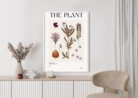 Plakat Jesienne Rośliny W Zielniku