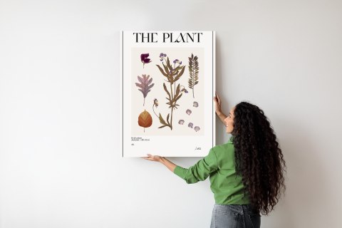 Plakat Jesienne Rośliny W Zielniku