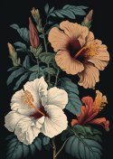 Plakat Kwiaty Hibiskusa I Zielone Liście