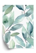 Plakat Liście Laurowe Akwarela