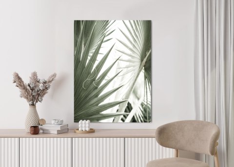 Plakat Liście Palmowe Z Bliska