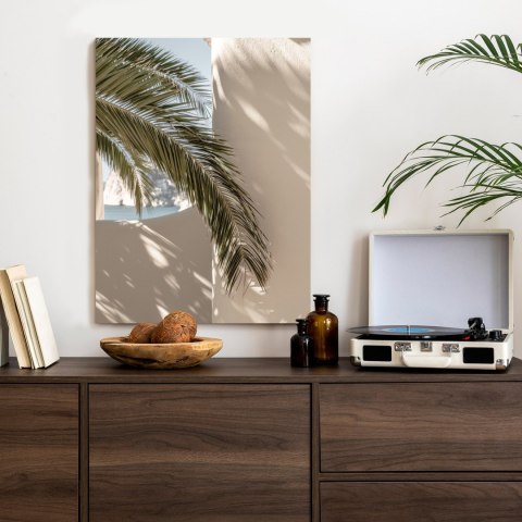 Plakat Liście Palmy Z Cieniem Na Beżowej Ścianie