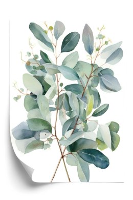 Plakat Malowane Akwarelą Gałązki Eukaliptusa Bukiet