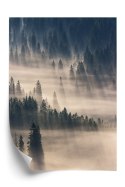 Plakat Mglisty Górski Las Natura