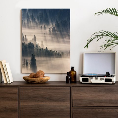 Plakat Mglisty Górski Las Natura