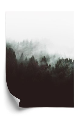 Plakat Mroczny Pejzaż Lasu We Mgle