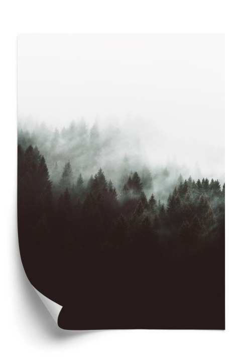 Plakat Mroczny Pejzaż Lasu We Mgle