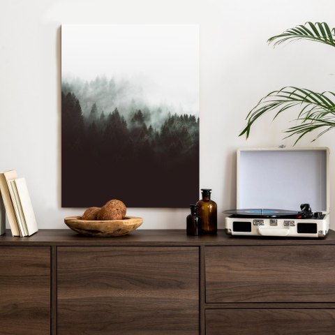 Plakat Mroczny Pejzaż Lasu We Mgle