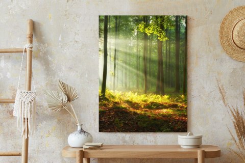 Plakat Piękny Poranek W Zielonym Lesie