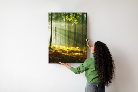 Plakat Piękny Poranek W Zielonym Lesie