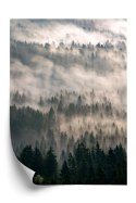 Plakat Poranna Mgła Nad Lasem Górskim