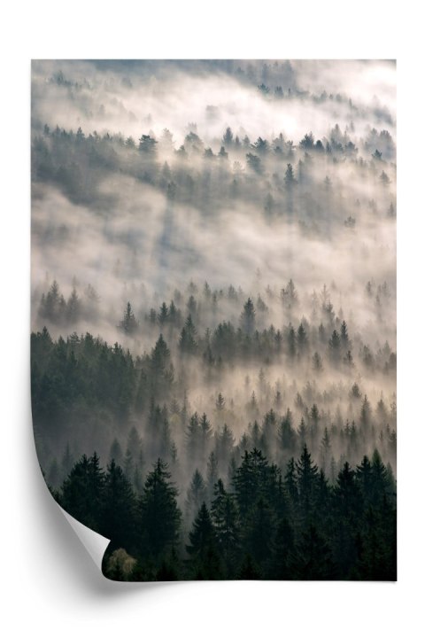 Plakat Poranna Mgła Nad Lasem Górskim