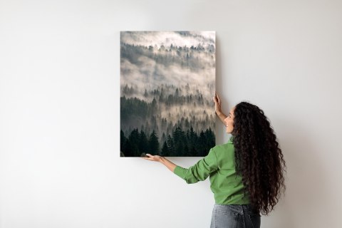 Plakat Poranna Mgła Nad Lasem Górskim