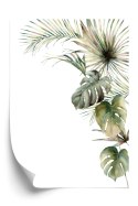 Plakat Roślinność Palma I Monstera Na Białym Tle Akwarela
