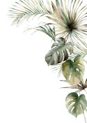 Plakat Roślinność Palma I Monstera Na Białym Tle Akwarela