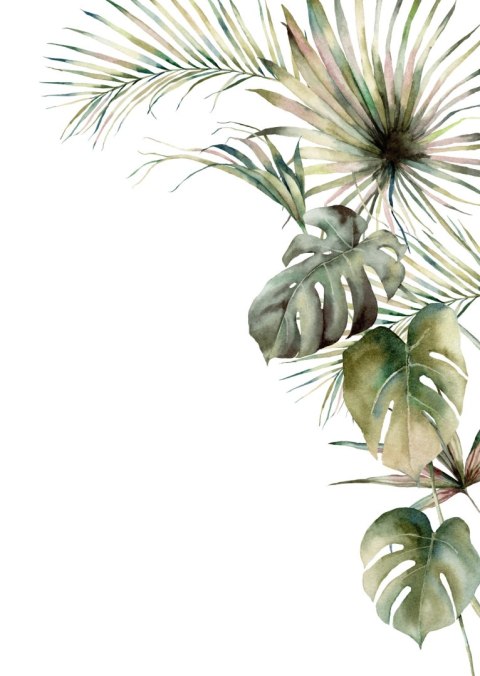 Plakat Roślinność Palma I Monstera Na Białym Tle Akwarela