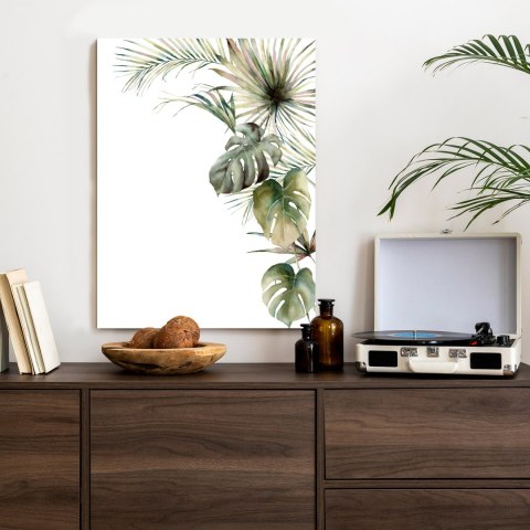 Plakat Roślinność Palma I Monstera Na Białym Tle Akwarela