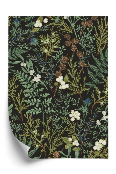 Plakat Rośliny Na Ciemnym Tle Botaniczny Deseń