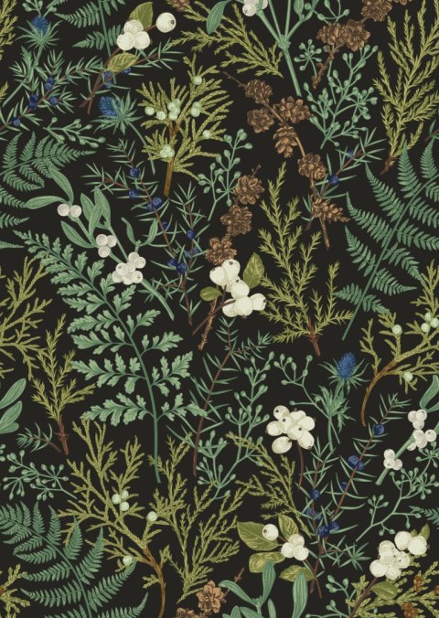 Plakat Rośliny Na Ciemnym Tle Botaniczny Deseń