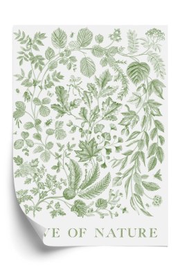 Plakat Rysowane Liście Natura W Kolorach Zieleni