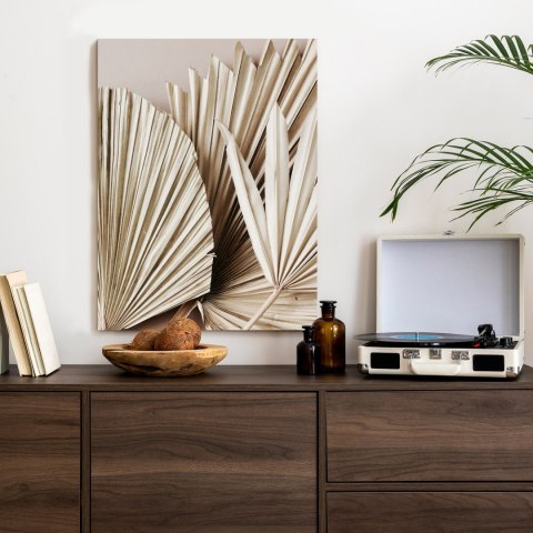 Plakat Suche Liście Palmowe