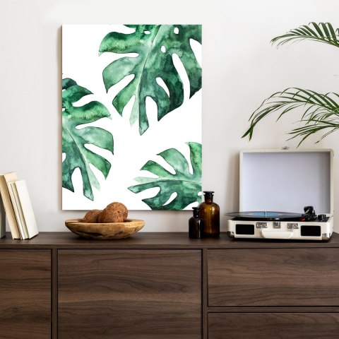 Plakat Trzy Liście Monstery Akwarela