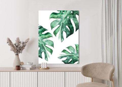 Plakat Trzy Liście Monstery Akwarela