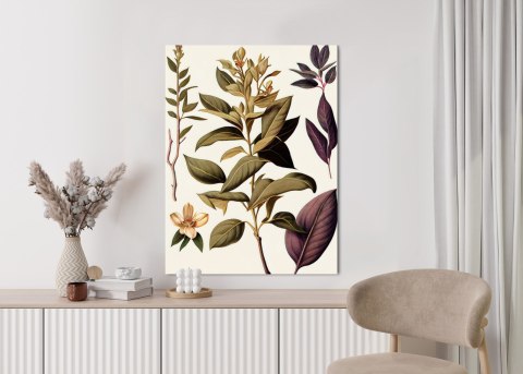 Plakat Vintage Roślina Lecznicza