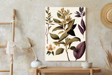 Plakat Vintage Roślina Lecznicza