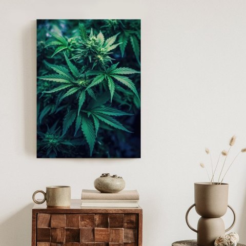 Plakat Zielona Konopia Z Bliska