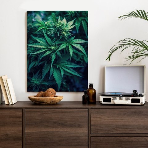 Plakat Zielona Konopia Z Bliska